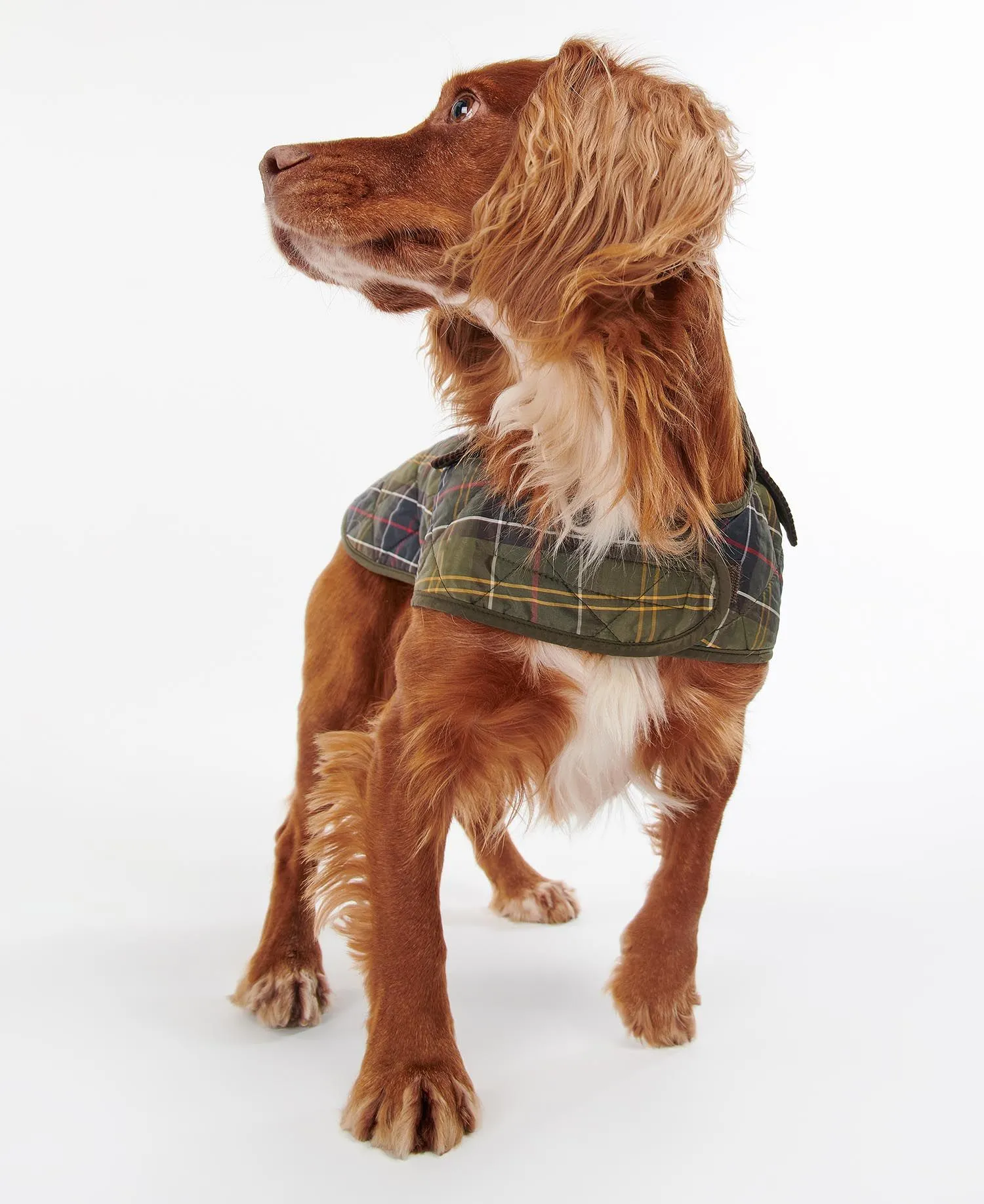 BARBOUR TARTAN DOG COAT DCO0005TN11