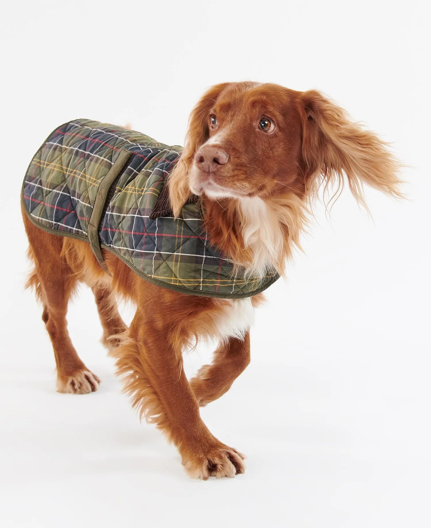 BARBOUR TARTAN DOG COAT DCO0005TN11