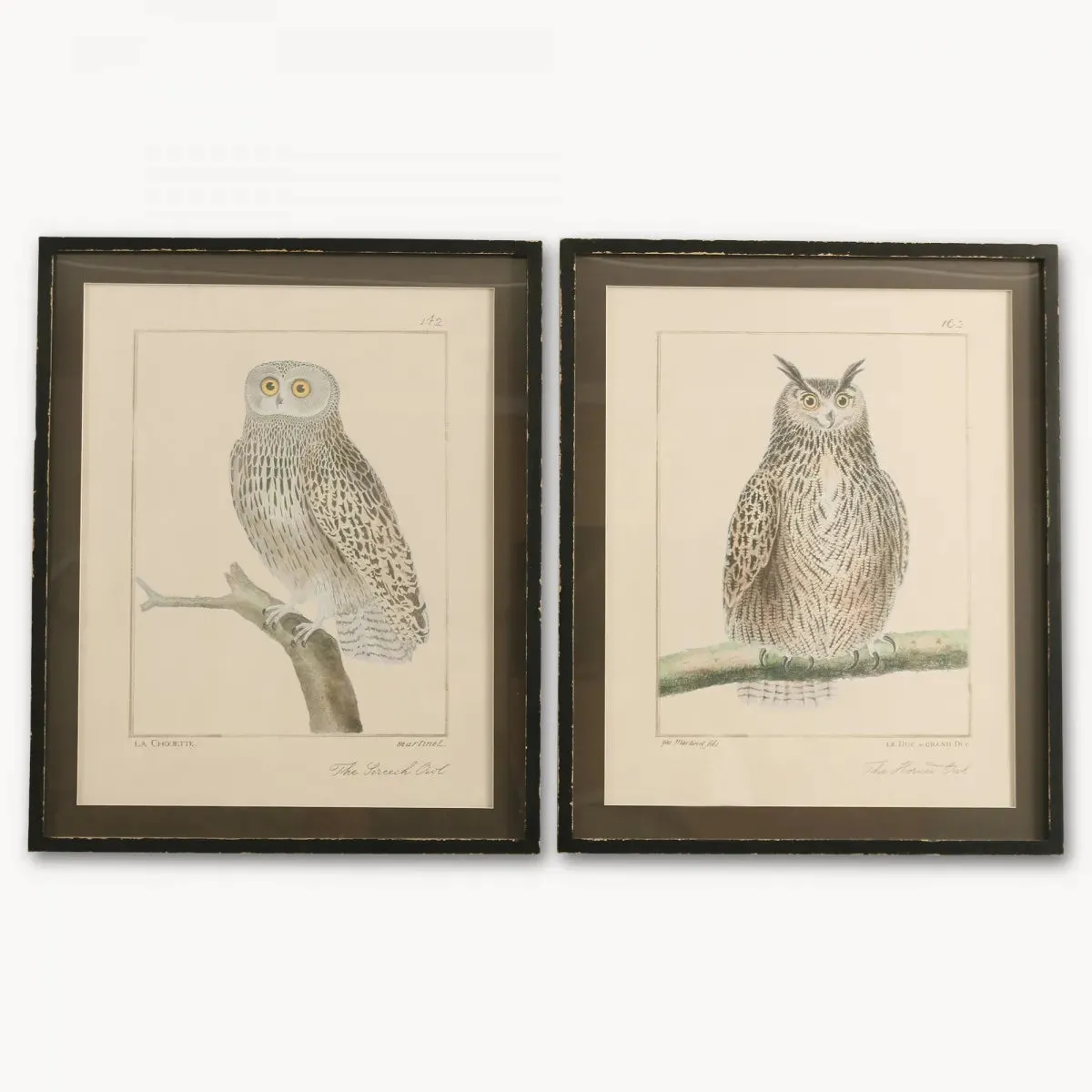 Brookby Set Of Two Framed Owl Wall Art 73cm