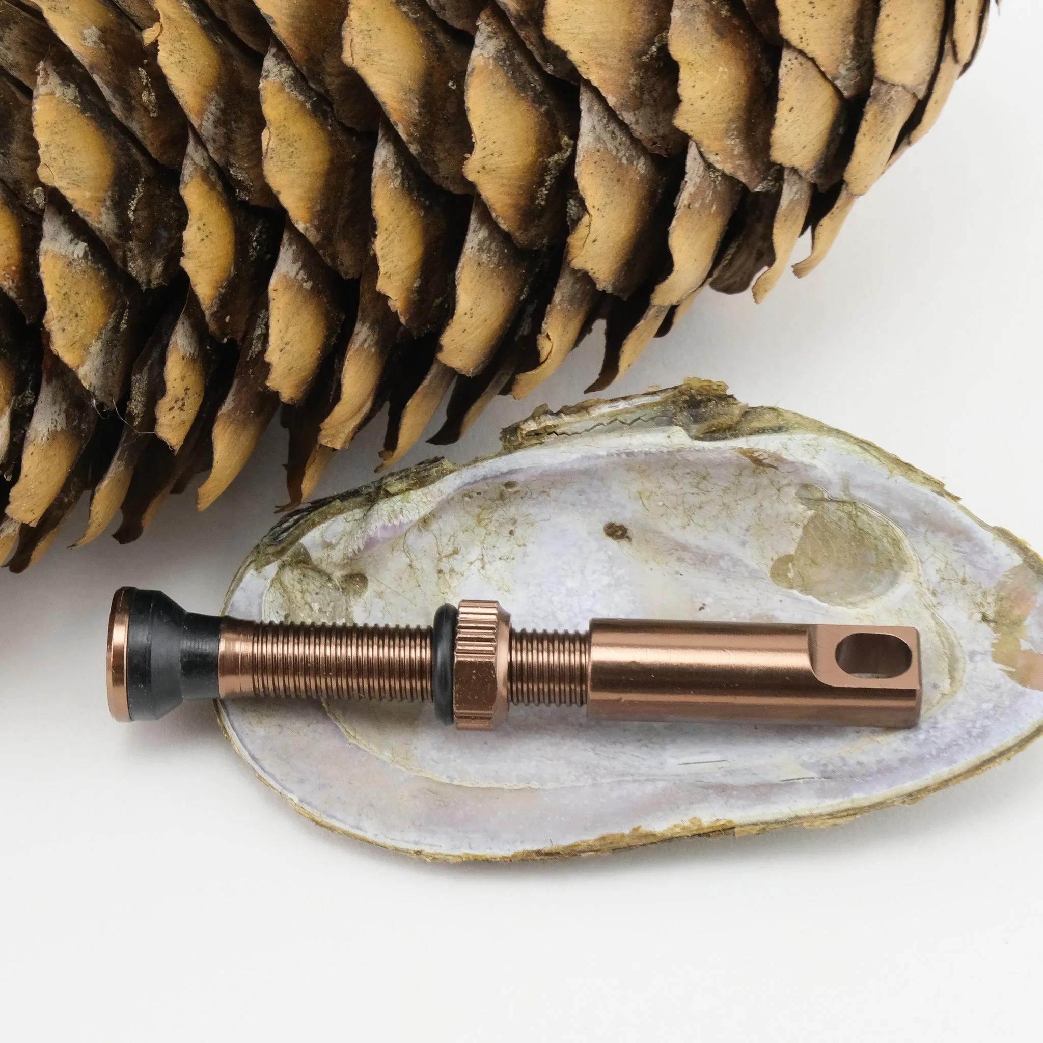Discord Earthworm Tubeless Valves V2