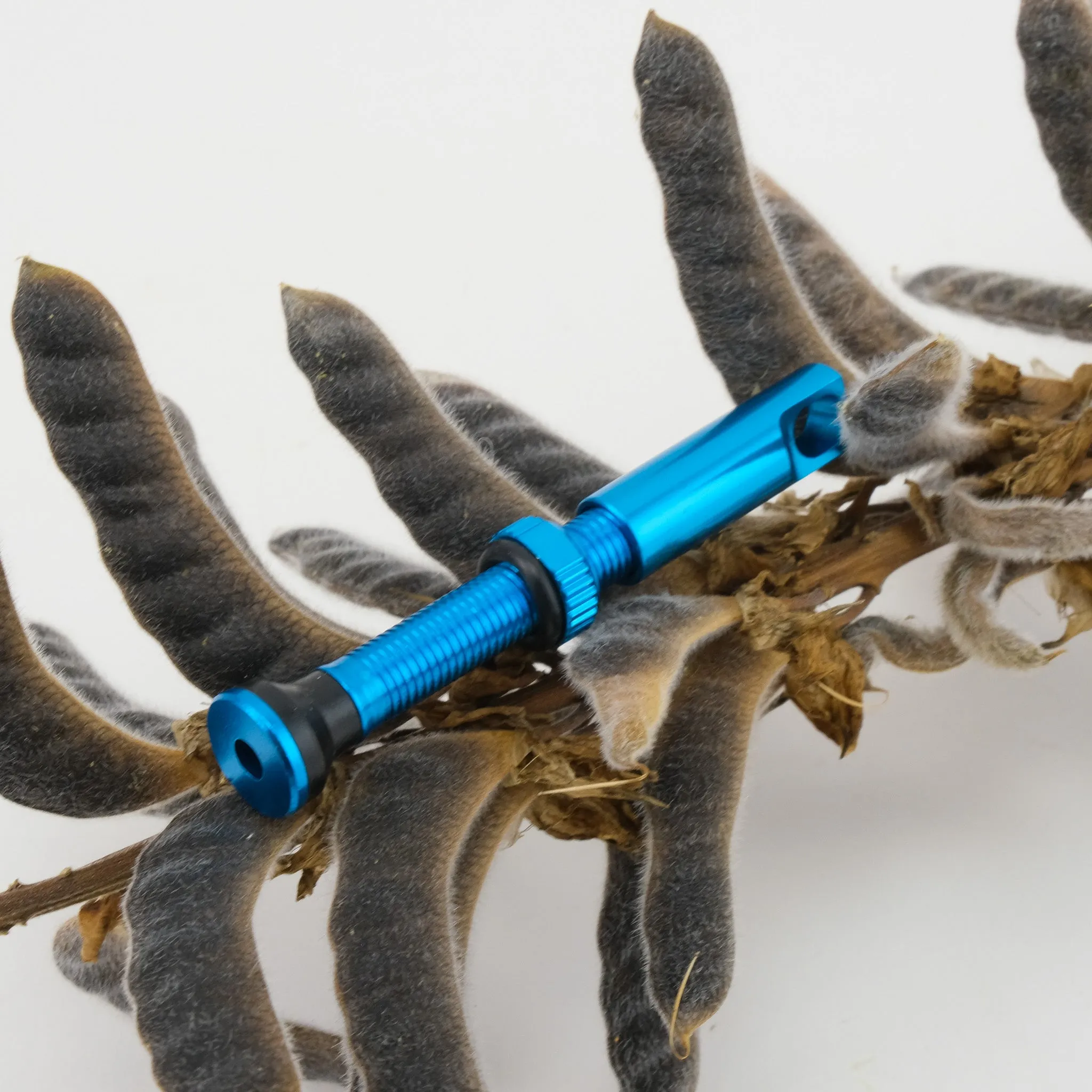 Discord Earthworm Tubeless Valves V2