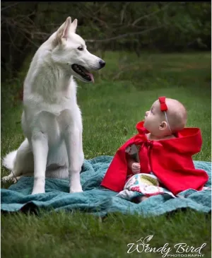 Halloween Red Riding Hood Costume