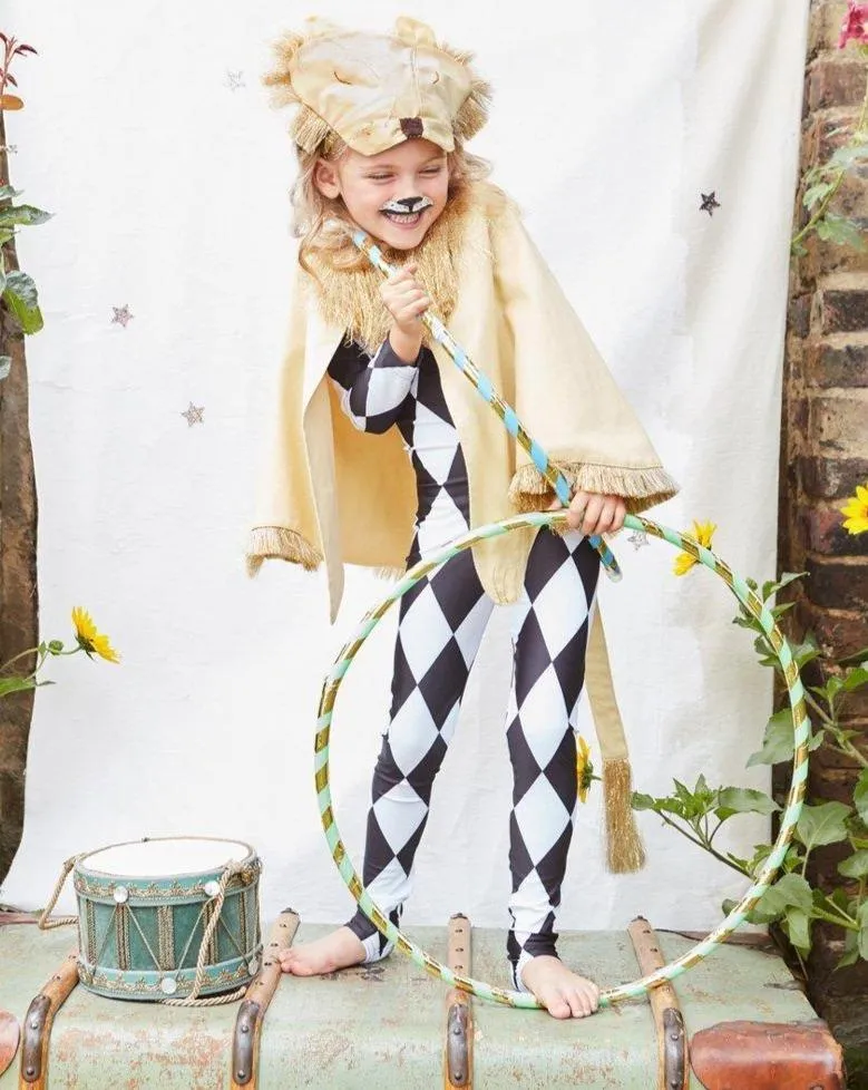 Lion Cape Dress Up